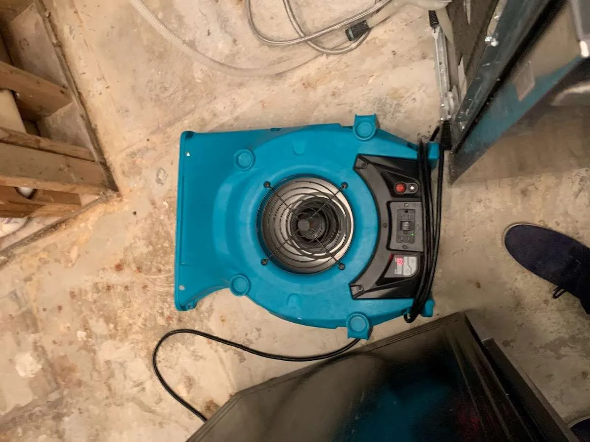 Air mover drying equipment for Mold Remediation & Removal in East Highland Park