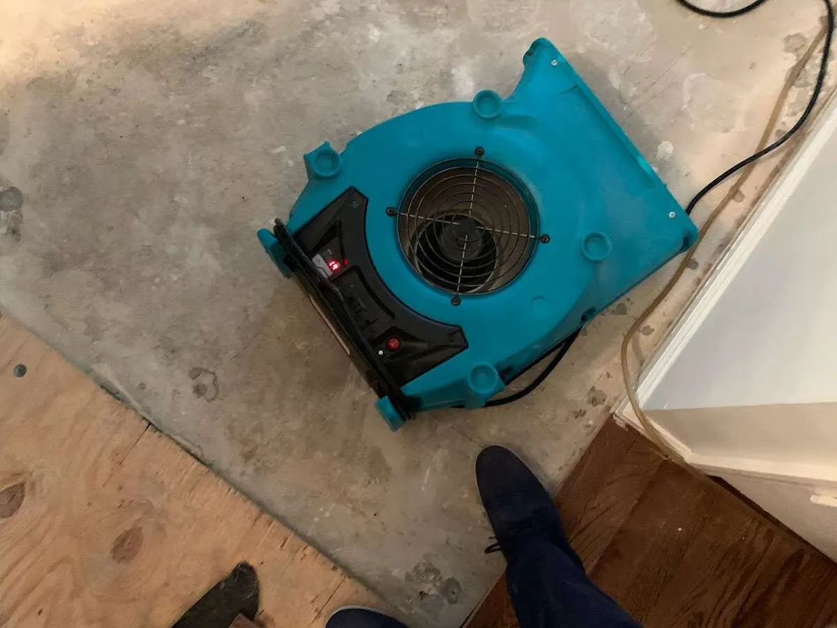 Air mover drying subfloor during Commercial Water Damage Restoration in East Highland Park